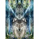 KIM DREYER ART Tilakk Spirit of the Wolf